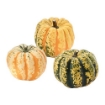 ІКЕА Декоративний гарбуз CUCURBITA, 406.041.35 - Home Club