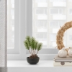 ИКЕА Искусственное растение и кашпо ФЕЙКА, 204.966.22 - Home Club, изображение 2