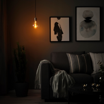 ИКЕА Подвесной светильник с лампой SKAFTET СКАФТЕТ / MOLNART, 094.945.30 - Home Club