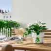 ІКЕА Штучна рослина в горщику FEJKA ФЕЙКА, 205.380.09 - Home Club, зображення 2