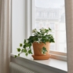 ІКЕА Штучна рослина в горщику FEJKA ФЕЙКА, 205.380.09 - Home Club, зображення 4
