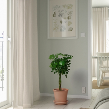 ІКЕА Квітковий горщик з блюдцем MUSKOTBLOMMA МУСКОТБЛОММА, 705.847.77 - Home Club