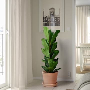 ИКЕА Цветочный горшок с блюдцем MUSKOTBLOMMA МУСКОТБЛОММА, 405.607.25 - Home Club