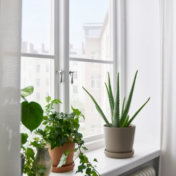 ІКЕА Квітковий горщик з блюдцем KLARBÄR, 805.084.29 - Home Club