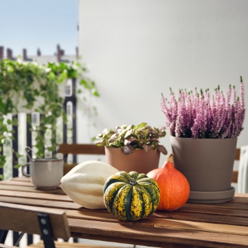 ІКЕА Декоративний гарбуз CUCURBITA, 406.041.35 - Home Club