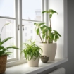 ИКЕА Горшок PERSILLADE ПЕРСИЛЛАДЕ, 906.067.97 - Home Club, изображение 3
