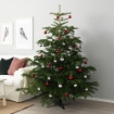 ІКЕА Різдвяна ялинка ABIES NORDMANNIANA, 802.283.63 - Home Club, зображення 2