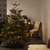 ІКЕА Різдвяна ялинка ABIES NORDMANNIANA, 802.283.63 - Home Club, зображення 3