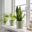 ІКЕА Кашпо BROKSPIREA, 705.865.97 - Home Club, зображення 2
