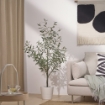 ИКЕА Искусственное комнатное растение FEJKA ФЕЙКА, 405.968.85 - Home Club, изображение 2