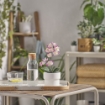 ІКЕА Штучна рослина в горщику FEJKA ФЕЙКА, 505.932.16 - Home Club, зображення 2