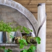 ІКЕА Міні-теплиця ASPAREN, 605.856.21 - Home Club, зображення 4