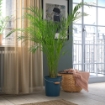 ИКЕА Горшок ÅKERBÄR ОКЕРБЭР, 805.847.91 - Home Club, изображение 3