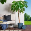 ИКЕА Лейка ÅKERBÄR ОКЕРБЭР, 305.848.02 - Home Club, изображение 3