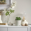 ИКЕА Горшок KÖRSBÄRSBJÖRK, 205.917.18 - Home Club, изображение 2