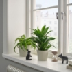 ИКЕА Горшок KÖRSBÄRSBJÖRK, 205.917.18 - Home Club, изображение 3