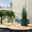 ИКЕА Горшок для цветов DAKSJUS, 606.092.31 - Home Club, изображение 2