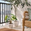 ИКЕА Искусственное комнатное растение FEJKA ФЕЙКА, 906.008.56 - Home Club, изображение 3