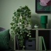 ИКЕА Искусственное растение в горшке FEJKA ФЕЙКА, 806.008.52 - Home Club, изображение 2
