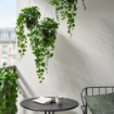 ИКЕА Искусственное растение в горшке FEJKA ФЕЙКА, 806.008.52 - Home Club, изображение 3