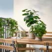 ІКЕА Штучна рослина в горщику FEJKA ФЕЙКА, 606.008.53 - Home Club, зображення 4