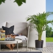 ІКЕА Вазон з автополивом VÅRDTRÄD, 405.708.66 - Home Club, зображення 2