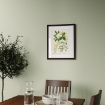 ИКЕА Рамка KLOTKÖRSBÄR, 406.100.75 - Home Club, изображение 2