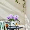 ИКЕА Искусственный букет SMYCKA СМИККА, 206.062.58 - Home Club, изображение 4