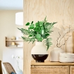 ИКЕА Искусственный букет SMYCKA СМИККА, 206.062.44 - Home Club, изображение 2