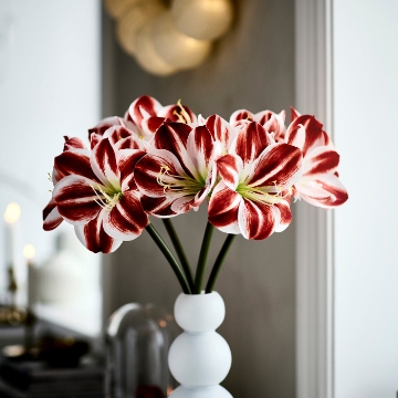 ИКЕА Искусственный цветок VINTERFINT ВИНТЕРФИНТ, 306.066.39 - Home Club