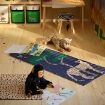 ИКЕА Стеганый коврик SANDLÖPARE, 006.032.27 - Home Club, изображение 7