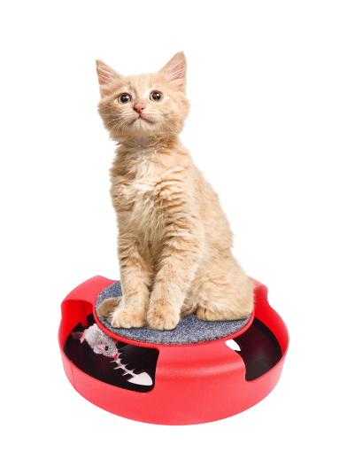 Chomik ІГРАШКА ДЛЯ КОТА З МИШКОЮ 25 x 25 x 7 СМ, CAT0526 - Home Club