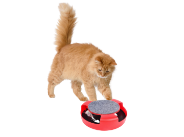 Chomik ІГРАШКА ДЛЯ КОТА З МИШКОЮ 25 x 25 x 7 СМ, CAT0526 - Home Club