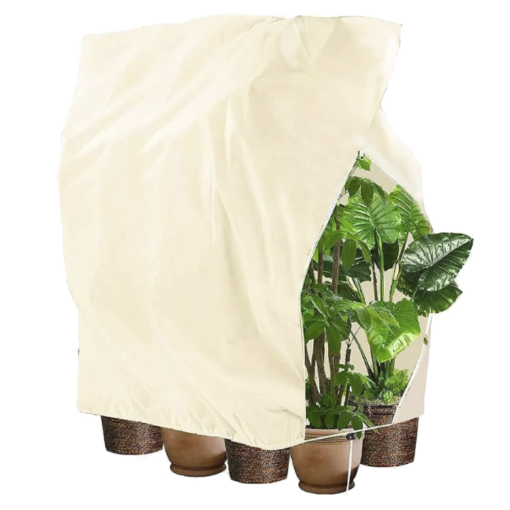 Chomik Защитный чехол для растений 2 x 2,4 м со стяжкой 80 г, бежевый, AGO8127 - Home Club