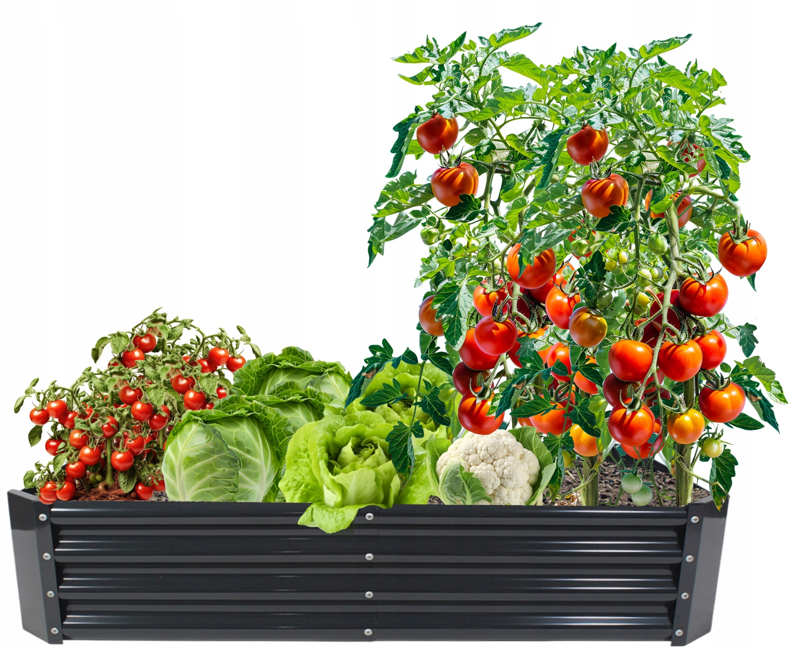 GRZĄDKA WARZYWNO-KWIATOWA 180 X 90 X 30 CM PROSTOKĄTNA ANTRACYT pol_pl_GRZADKA-WARZYWNO-KWIATOWA-180-X-90-X-30-CM-PROSTOKATNA-ANTRACYT-8410-1656_10