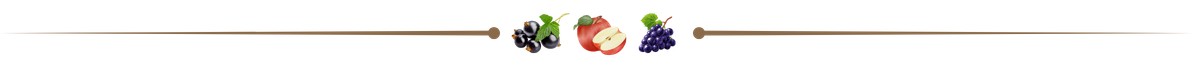 WYCISKARKA DO OWOCÓW 18 L 46 x 46 x 74 cm *9251 pol_pl_WYCISKARKA-DO-OWOCOW-18-L-46-x-46-x-74-cm-9251-2638_14