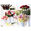 ИКЕА Искусственный цветок SMYCKA СМИККА, 901.536.49 - Home Club, изображение 3