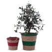 ИКЕА Горшок SALMBÄR САЛМБЭР, 101.866.20 - Home Club, изображение 2