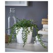 ИКЕА Искусственное растение в горшке FEJKA ФЕЙКА, 502.146.97 - Home Club, изображение 2