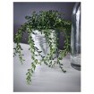 ИКЕА Искусственное растение в горшке FEJKA ФЕЙКА, 502.146.97 - Home Club, изображение 3