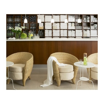 ИКЕА Шнур-подвес с рассеивателем ЯНУАРИ, 401.217.88 - Home Club