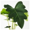 ИКЕА Искусственное растение и кашпо ФЕЙКА, 702.514.72 - Home Club, изображение 2