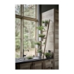 ИКЕА Подставка для растений с 5 горшками SATSUMAS, 102.581.55 - Home Club, изображение 3