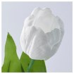 ИКЕА Искусственный цветок SMYCKA СМИККА, 703.104.00 - Home Club, изображение 3