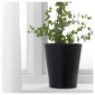 ИКЕА Горшок PAPAJA ПАПАЙА, 601.873.68 - Home Club, изображение 2