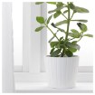 ИКЕА Горшок KARDEMUMMA КАРДЕМУММА, 701.737.33 - Home Club, изображение 3