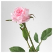 ИКЕА Цветок искусственный СМИККА, 603.356.70 - Home Club, изображение 3