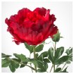 ИКЕА Искусственный цветок SMYCKA СМИККА, 803.357.92 - Home Club, изображение 3