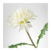 ИКЕА Цветок искусственный СМИККА, 103.356.63 - Home Club, изображение 3