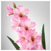 ИКЕА Искусственный цветок SMYCKA СМИККА, 103.356.77 - Home Club, изображение 3